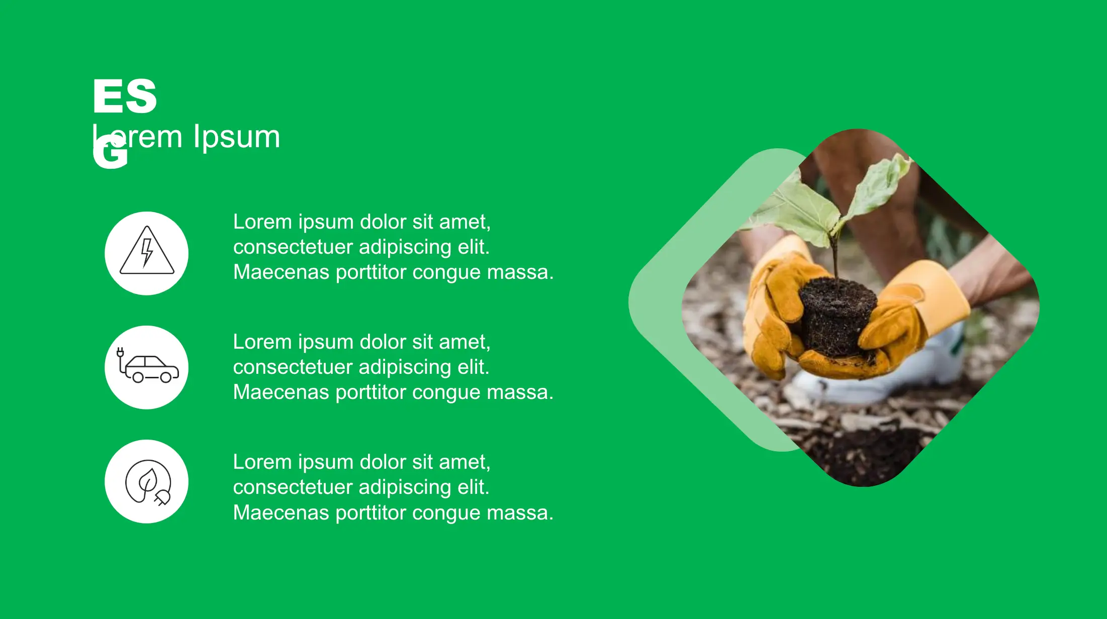 slide10